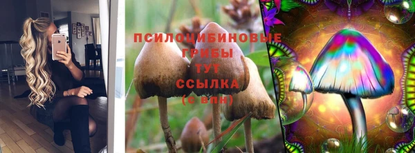 ПСИЛОЦИБИНОВЫЕ ГРИБЫ Алексеевка