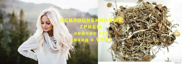mdpv Алзамай