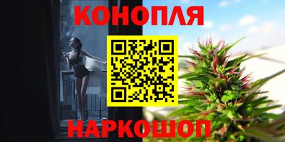 apvp Гагарин