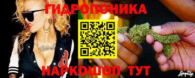 МДМА Гатчина
